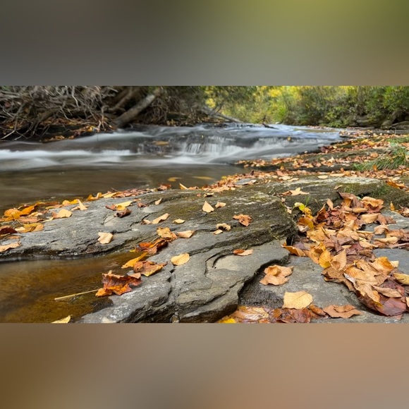 Meet your Posher, Cassie - Picture 2 of 9